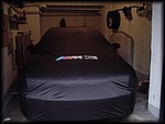 Max 001.jpg