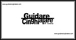 guidarepilotare.jpg