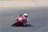 IMG_3282.JPG
