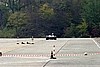 cameri2003080.jpg