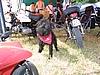 IMG_3534.JPG