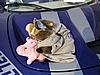 IMG_3568.JPG