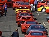 IMG_8210.JPG
