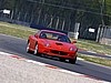 IMG_8233.JPG