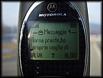 Max 107.jpg