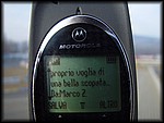 Max 108.jpg