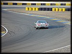 Max 110.jpg