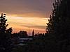 IMG_3007.JPG
