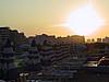 IMG_3061.JPG