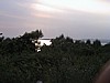 DSC00166.JPG