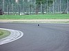 Imola 085 (Large).jpg