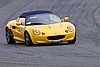 IMG_0406 (Large).JPG