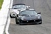 IMG_0424 (Large).JPG