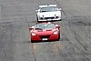 IMG_0425 (Large).JPG