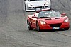 IMG_0426 (Large).JPG