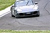IMG_0462 (Large).JPG