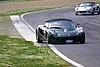 IMG_0533 (Custom).JPG