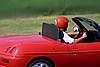 IMG_2556 (Custom).JPG