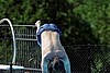 IMG_2422 (Custom).JPG