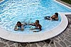 IMG_2438 (Custom).JPG