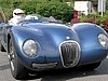 Jaguar.jpg