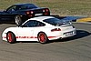 varano08120328.jpg