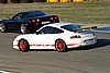 varano08120329.jpg
